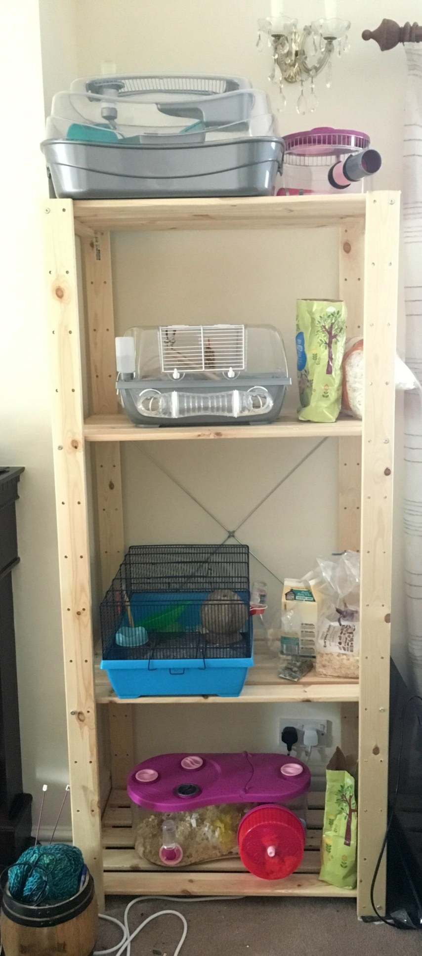 hamstershelf.jpg
